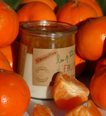 Le petit pot de fruits clémentine