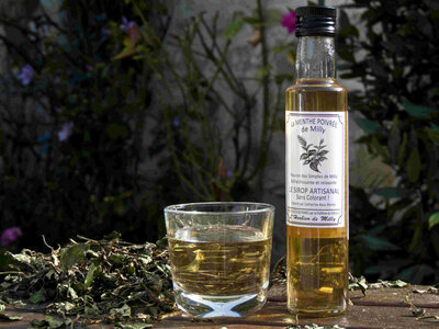 Sirop bio, la menthe poivrée de milly