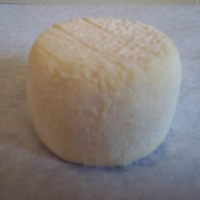 Crottin de chavignol- médaille d'argent 2016 !