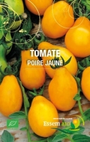 Plant de tomate cerise 'poire jaune'