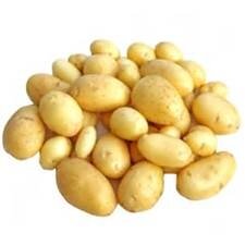 Pomme de terre nouvelle dolwen