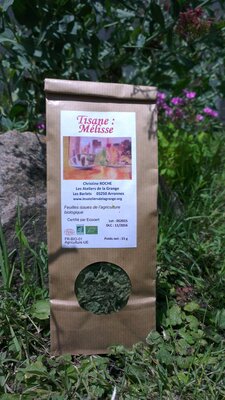 Tisane de laurier noble