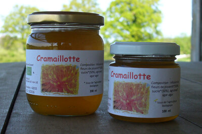 Gelée de fleurs de pissenlit ou cramaillotte
