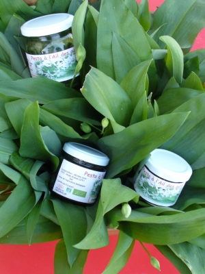 Pesto 'sans sel' d'ail des ours