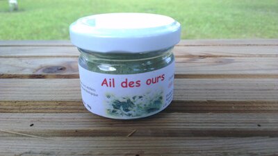 Ail des ours en poudre