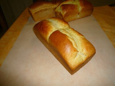 Brioche pur beurre