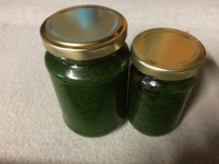 Ail des ours, en conserve