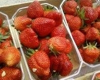 Fraise ronde
