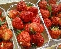 Fraise ronde