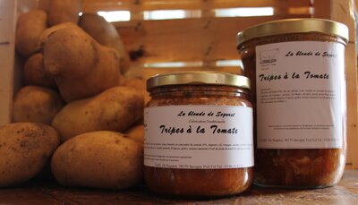 Tripes à la tomate