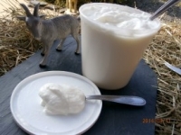 Fromage blanc de chèvre