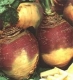 Navet ou rutabaga bio - image 3