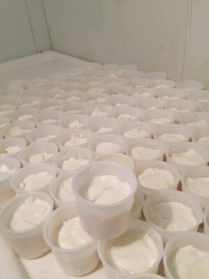 Faisselle de chèvre au lait cru