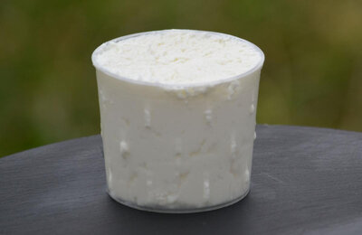 Faisselle au lait cru 500g.
