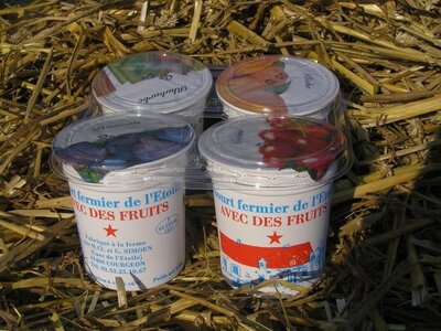 4 yaourts aux fruits : framboises