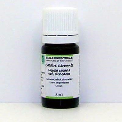 Huile essentielle de Cataire citronnée bio - 5 ml