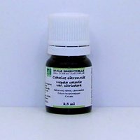 Huile essentielle de Cataire citronnée bio - 2,5 ml