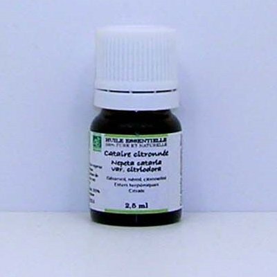 Huile essentielle de Cataire citronnée bio - 2,5 ml