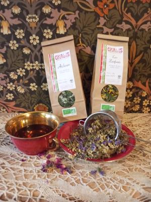 Tisane zeni'tude