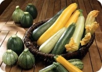 Courgette 500g