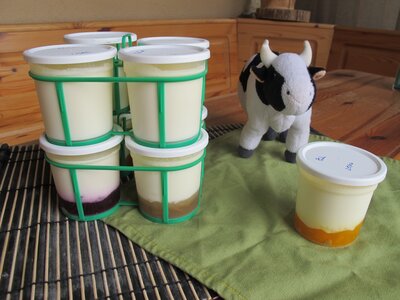 8 yaourts 4 saveurs (bio) de vache