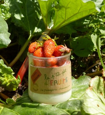 Le petit pot de fruits fraise rhubarbe