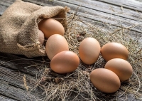 6 oeufs bio fermiers