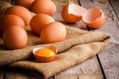 12 oeufs bio fermiers