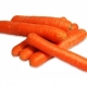 Carotte bio orange - image 2