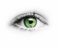 Soin contour de l’œil Anti cernes