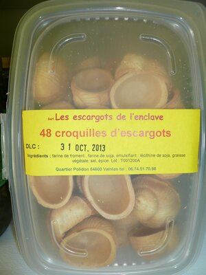 Croquilles vides
