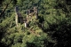 Corrèze Naturellement - Florence Coudert et Pascal Rabot - image 5