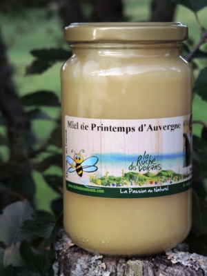 Miel de printemps d'auvergne 2025