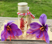 Safran en filaments 0.10 g