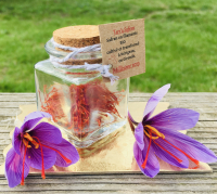 Safran en filaments 1 gramme