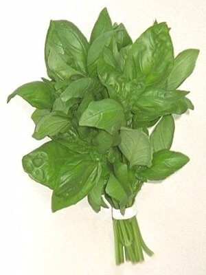 Basilic bouquet