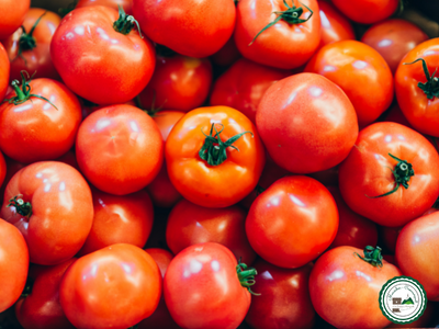 Tomate ronde