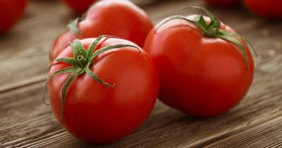 Tomates rondes