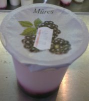 Yaourt nature sur coulis : mûre (2 x 125g.)