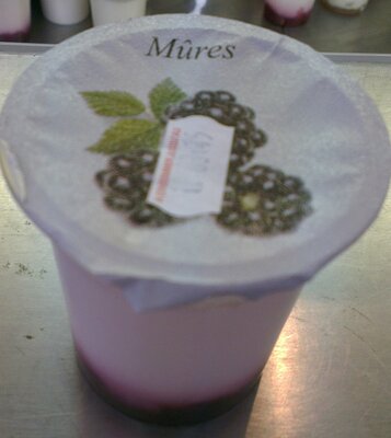 Yaourt nature sur coulis : mûre (2 x 125g.)