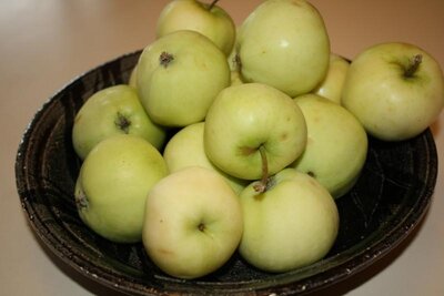Pomme des moissons