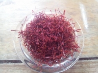 Safran en pistil 0.50g