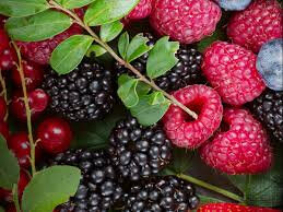 Fruits rouge bio