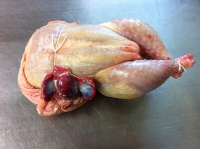 Poulet 2 à 2.3kg