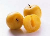 prune mirabelle