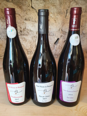 3 bouteilles de st n b. rouges
