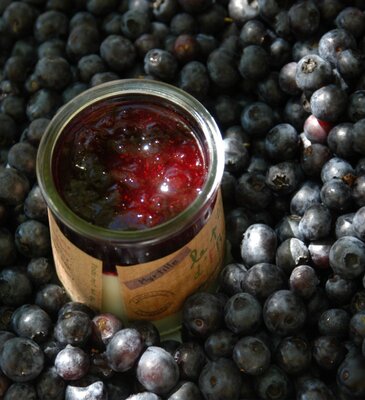 Le petit pot de fruits myrtille