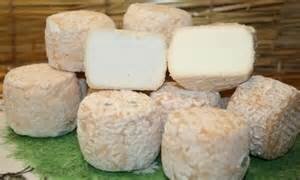 Crottin de chèvre affiné