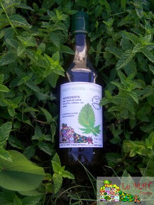 Sirop mélisse - verveine (dluo 02/21)