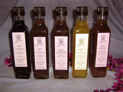 Sirop de menthe